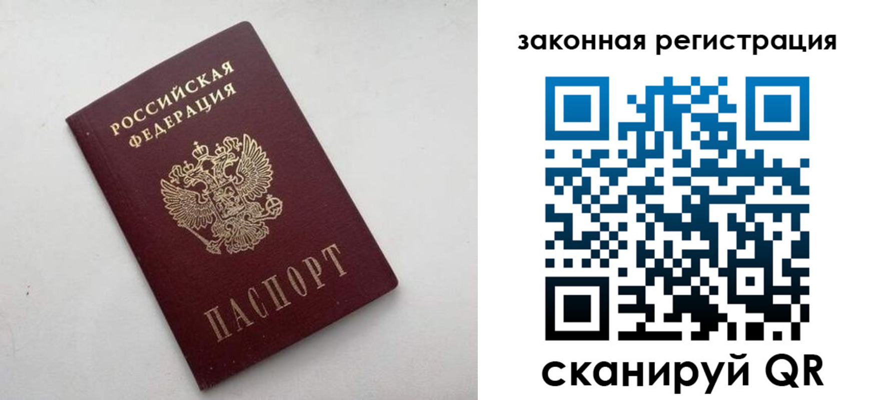 прописка 2025 в Апатитах
